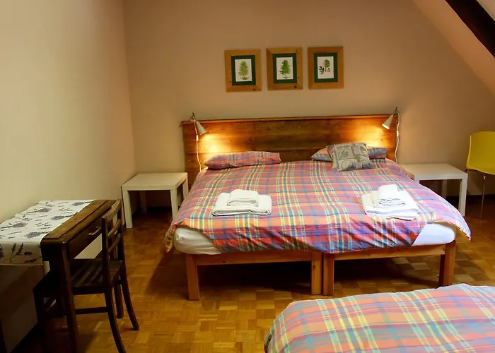 Balma Meris Valdieri